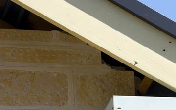 soffit repair Clackmarras